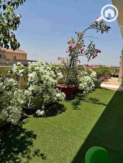3 Bedroom Flat for Sale in Sheikh Zayed, Giza - 1000384513. jpg