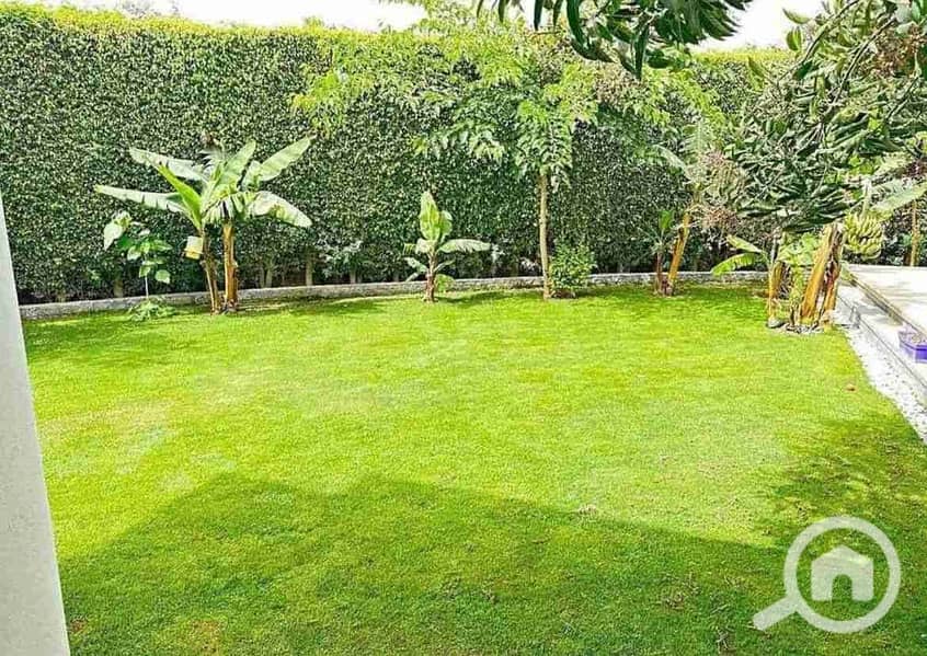 1000392358. jpg 1000392358. jpg