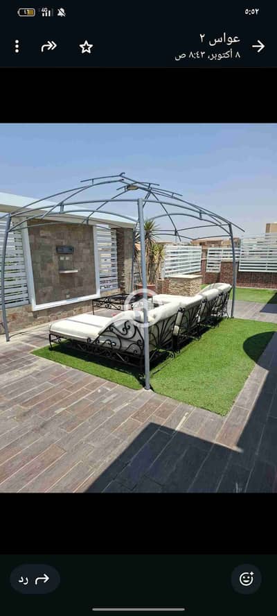 3 Bedroom Flat for Rent in New Cairo, Cairo - 1000030241. jpg