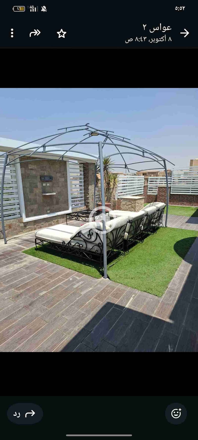 1000030241. jpg 1000030241. jpg