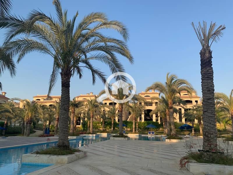 13 WhatsApp Image 2025-02-28 at 18.52. 04_a98b9f97. jpg