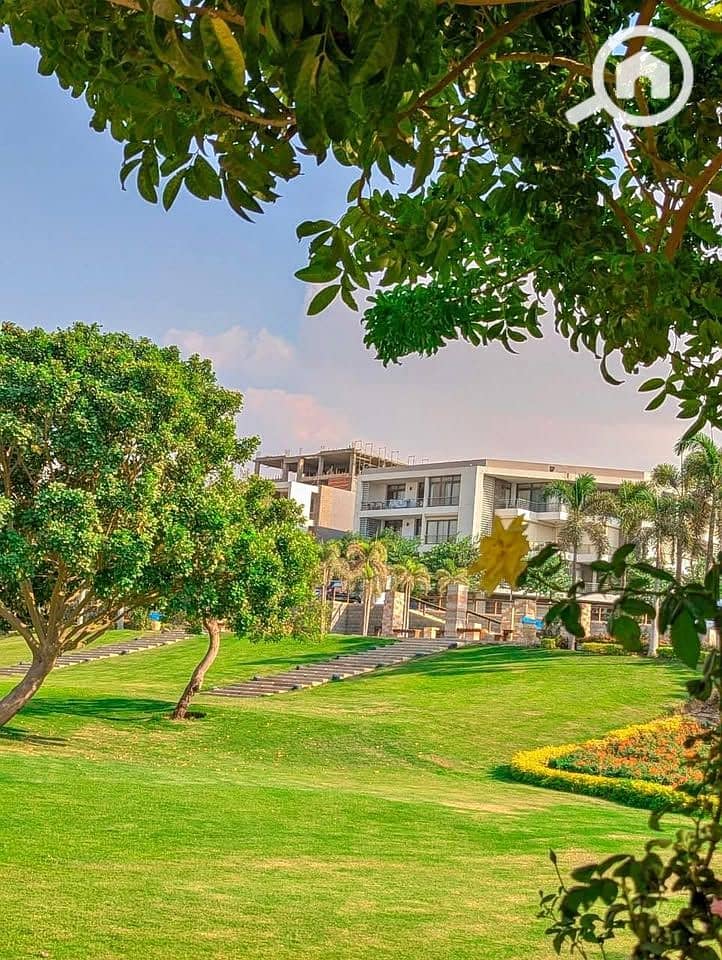 3 498027270_1238017867671400_6794195595966891291_n. jpg