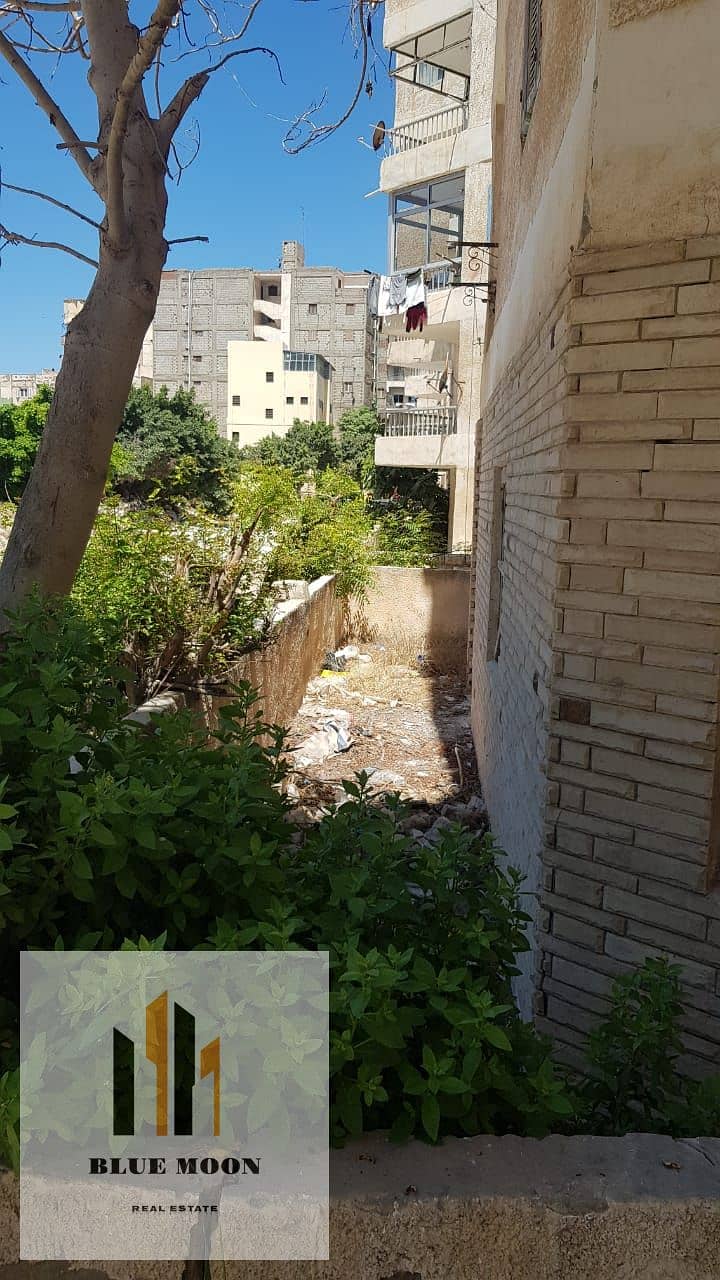 4 WhatsApp Image 2025-06-24 at 4.07. 23 PM (2). jpeg