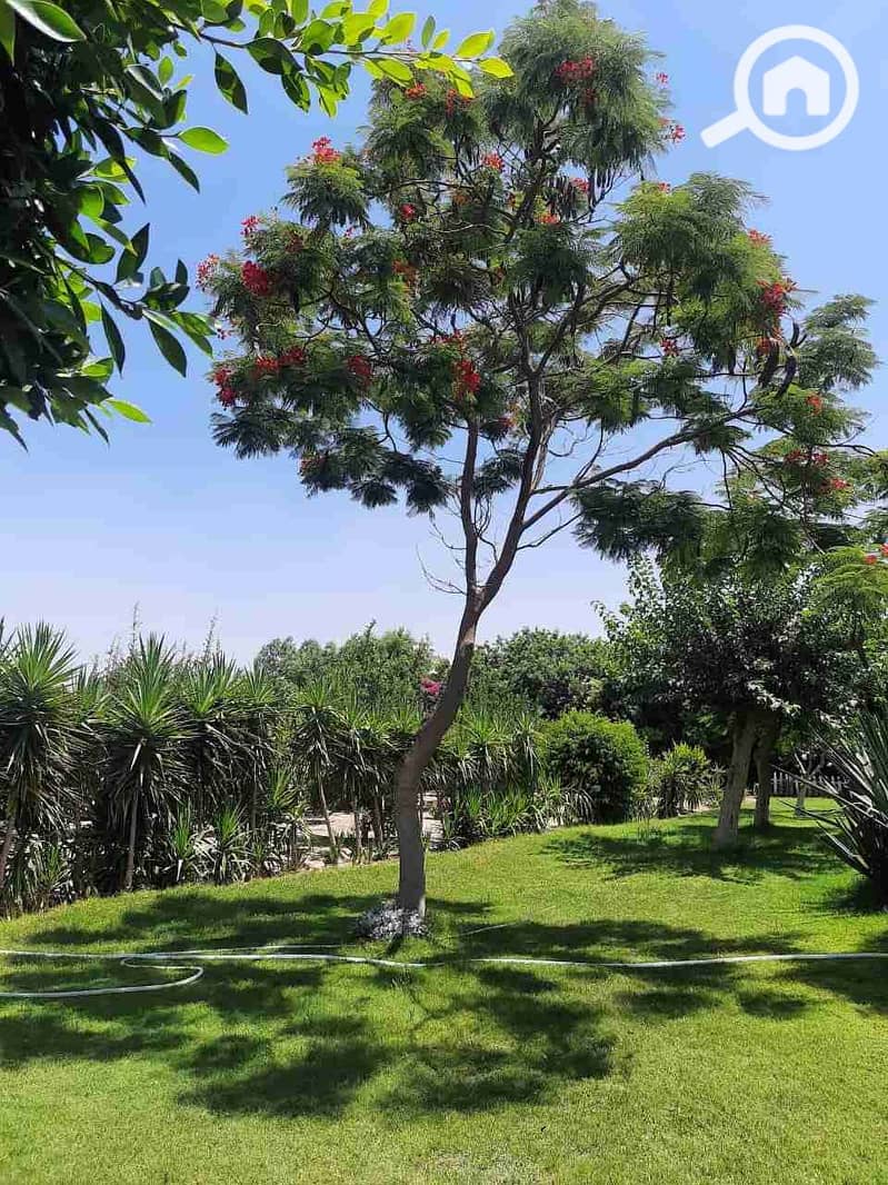 2 IMG-20241030-WA0035. jpg