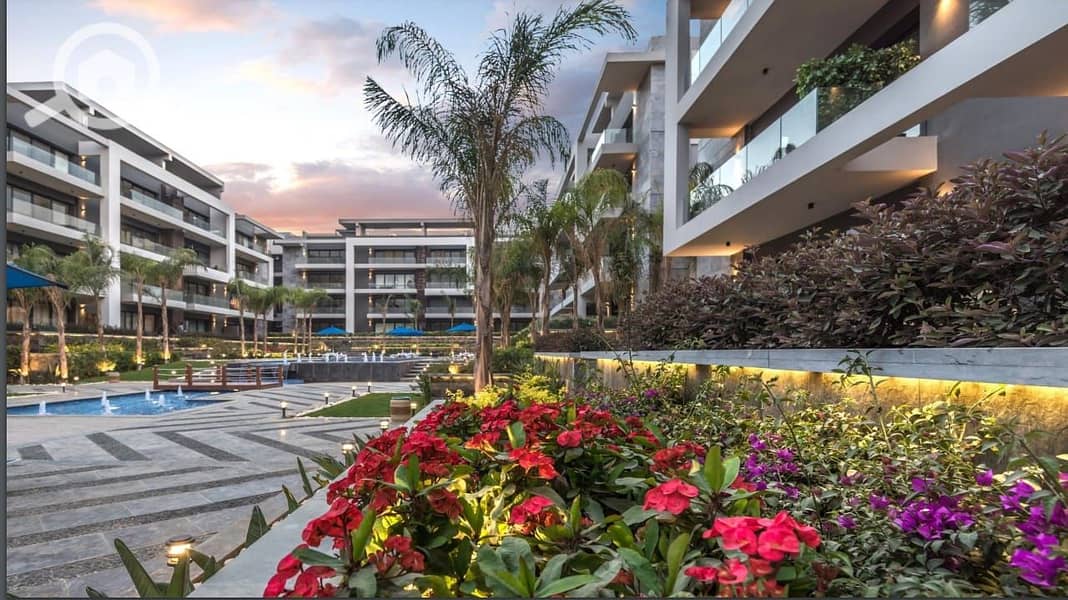 3 475362799_122188651184121163_3408690964156686926_n. jpg