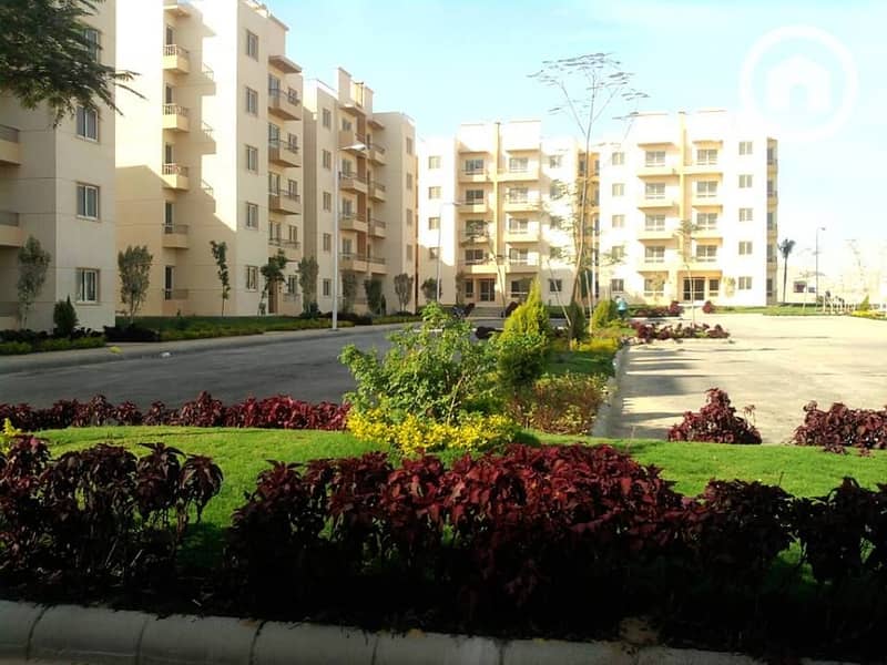 10 471611291_1015523003952004_939286164122363754_n. jpg