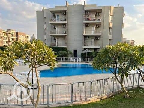 12 WhatsApp Image 2025-01-14 at 11.21. 59_34848dcc. jpg