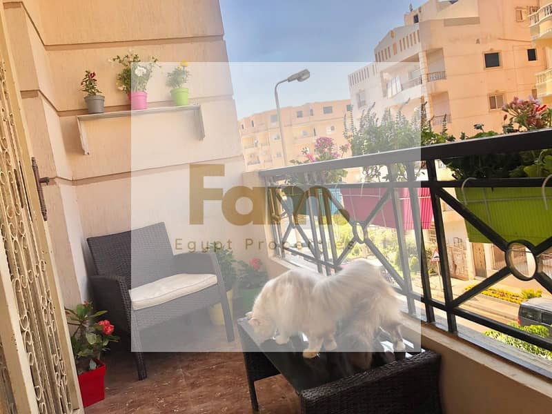 4 WhatsApp Image 2024-07-13 at 16.53. 14_585c00ef. jpg