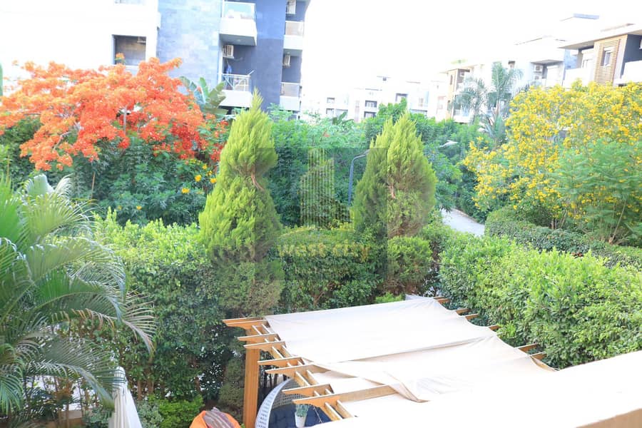 6 c083e9ec-4210-4f2a-a0c4-5ddf23d2aa4e. jpg