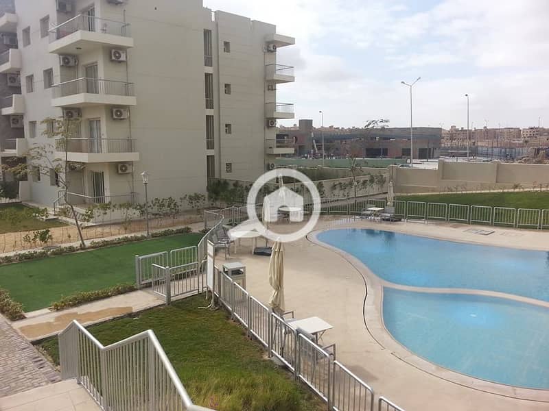 8 12573836_10154010492196454_1052478313866882010_n. jpg