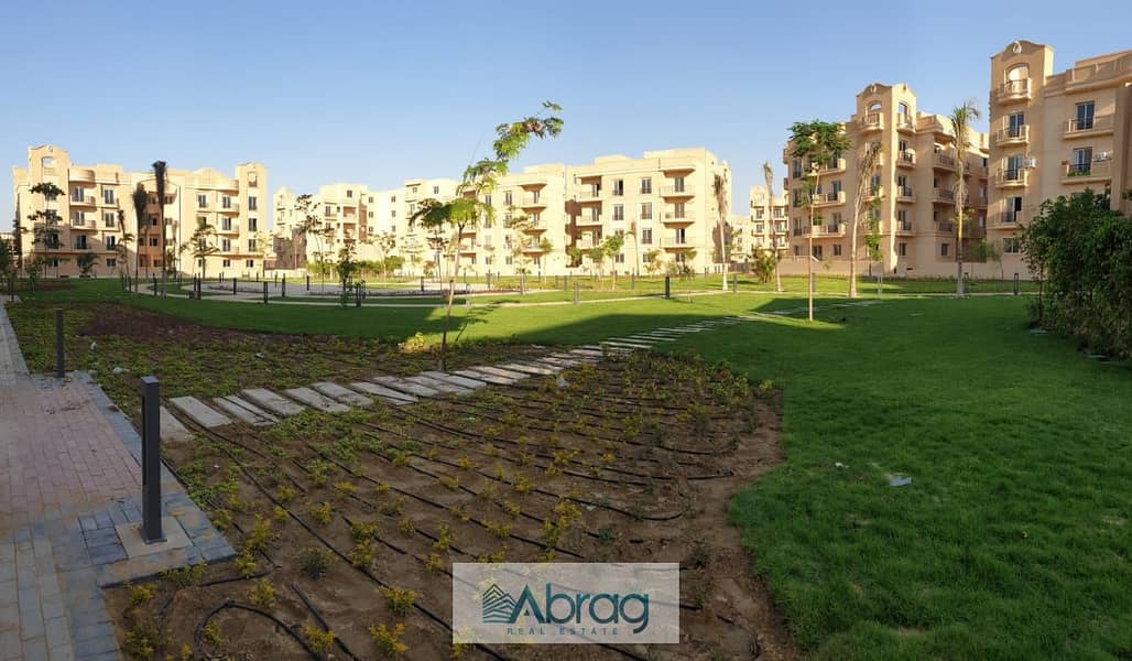 6 WhatsApp Image 2025-10-23 at 5.53. 01 PM (3). jpeg