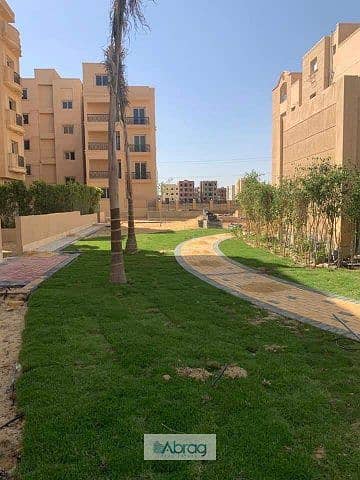 8 WhatsApp Image 2025-10-23 at 5.53. 02 PM (1). jpeg