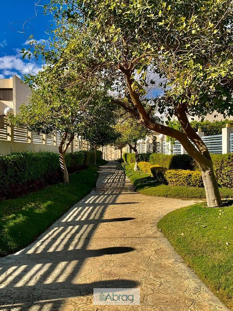 5 9249a291-77ed-4622-a5a4-9a5b3856458a. jpg