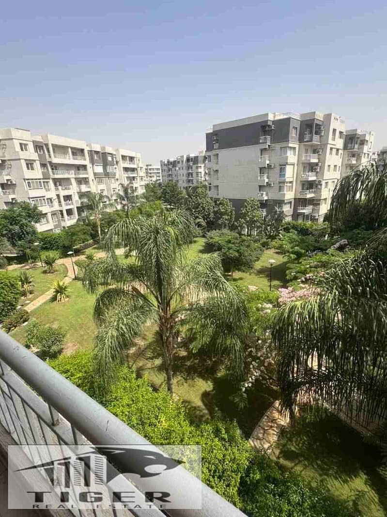 1000049944. jpg 1000049944. jpg