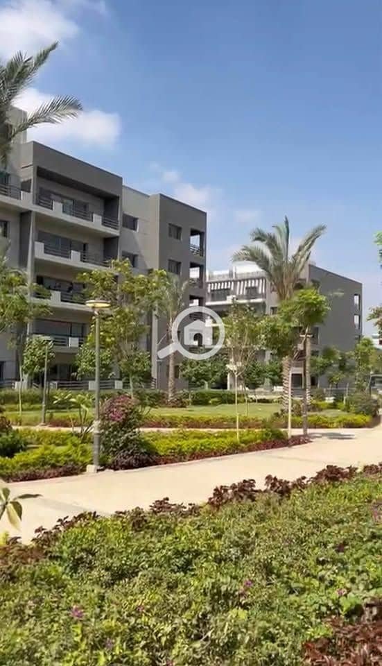 2 527617460_3739354833024418_672298162081228582_n. jpg