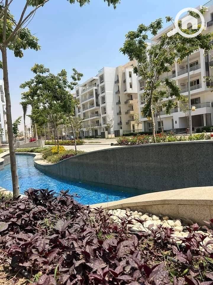 7 WhatsApp Image 2025-09-23 at 17.51. 57_2182fb9c. jpg