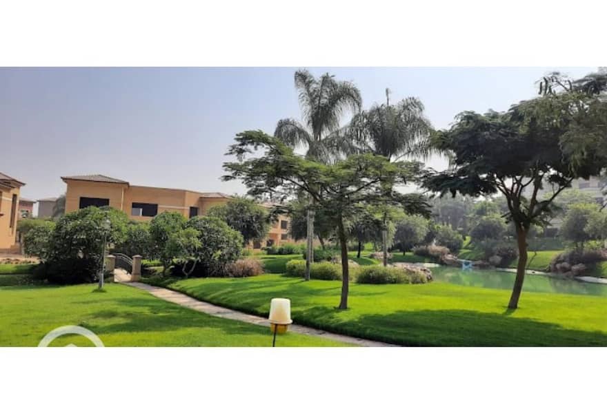 3 7255832-80883o. jpg