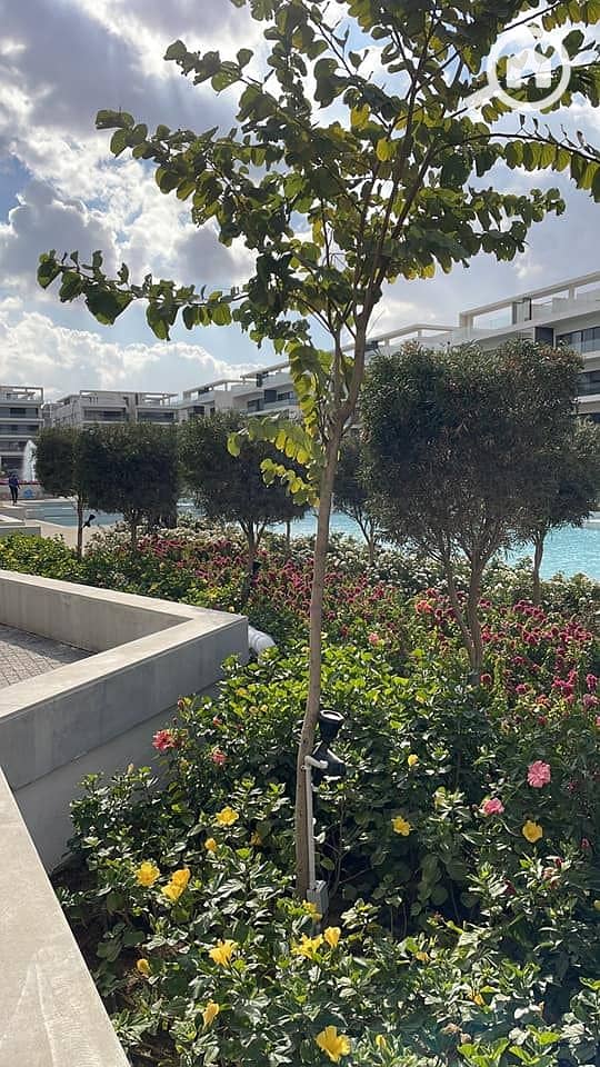 6 493479642_23989751720662678_4903348146119840489_n. jpg