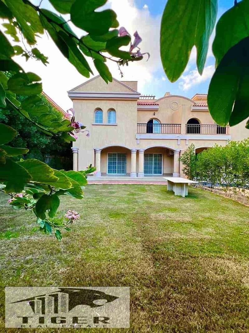 1000049993. jpg 1000049993. jpg