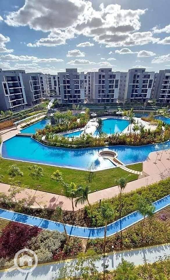 7 437010633_1935901153491476_7573877138040968418_n. jpg