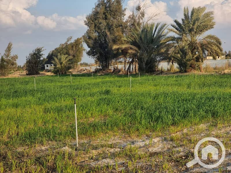 WhatsApp Image 2025-10-28 at 12.03. 10_36fb0a81. jpg