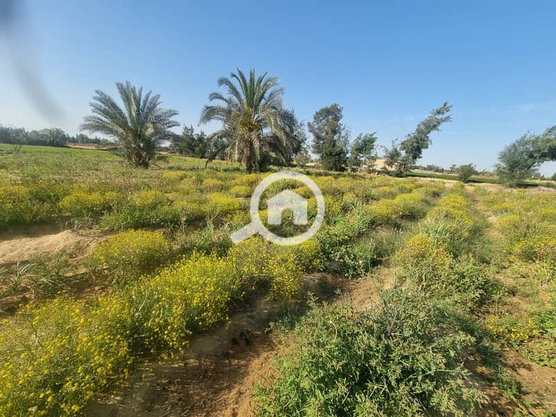 2 WhatsApp Image 2025-10-28 at 12.03. 09_6543fb3e. jpg