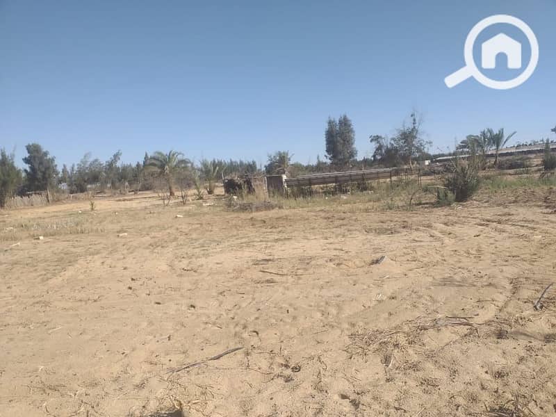 3 WhatsApp Image 2025-10-28 at 12.03. 01_3c68d38c. jpg