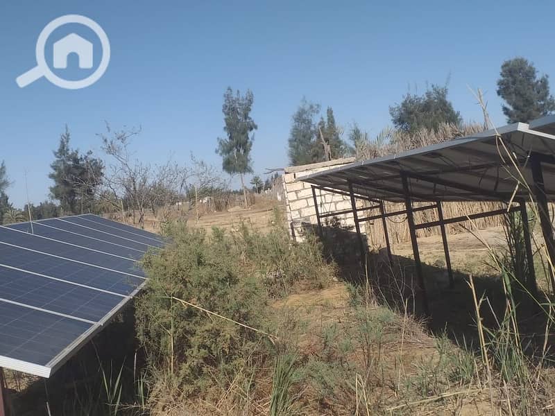 4 WhatsApp Image 2025-10-28 at 12.03. 03_2ac4c12b. jpg