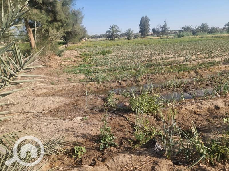 5 WhatsApp Image 2025-10-28 at 12.03. 09_3a631f3d. jpg