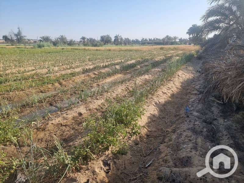 6 WhatsApp Image 2025-10-28 at 12.03. 09_3992dbf1. jpg