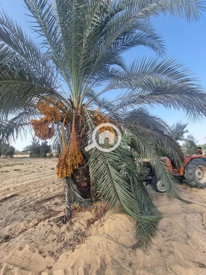 7 WhatsApp Image 2025-10-28 at 12.03. 11_38cbacd6. jpg