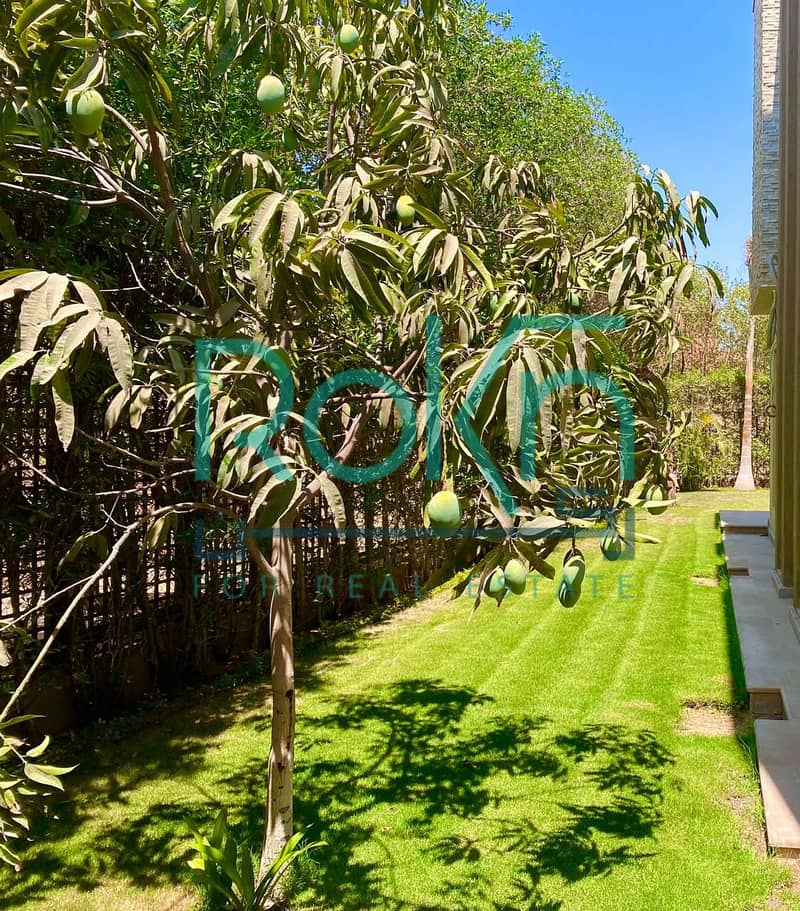 6 WhatsApp Image 2025-10-27 at 9.15. 44 PM. jpeg