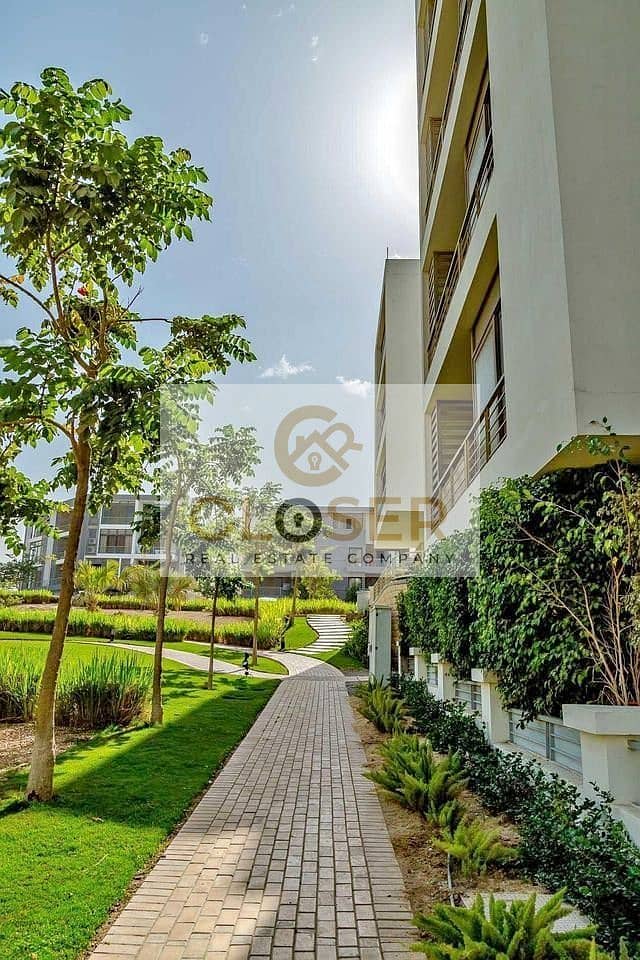 10 337403723_1396536221172306_2378563594966947270_n. jpg