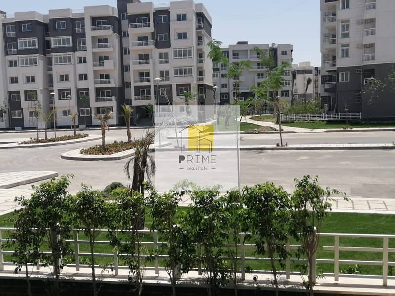 13 WhatsApp Image 2025-10-27 at 18.41. 12_9e86709b. jpg