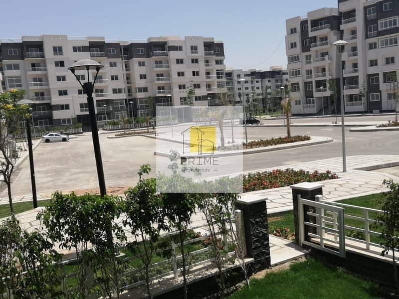 14 WhatsApp Image 2025-10-27 at 18.41. 12_9fcd70a8. jpg