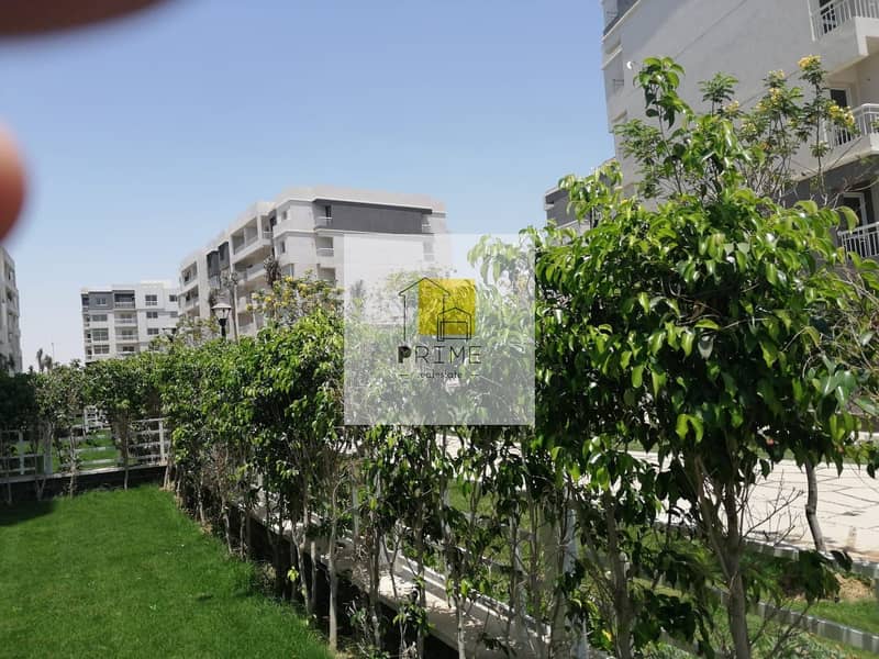 19 WhatsApp Image 2025-10-27 at 18.41. 14_9b90595c. jpg