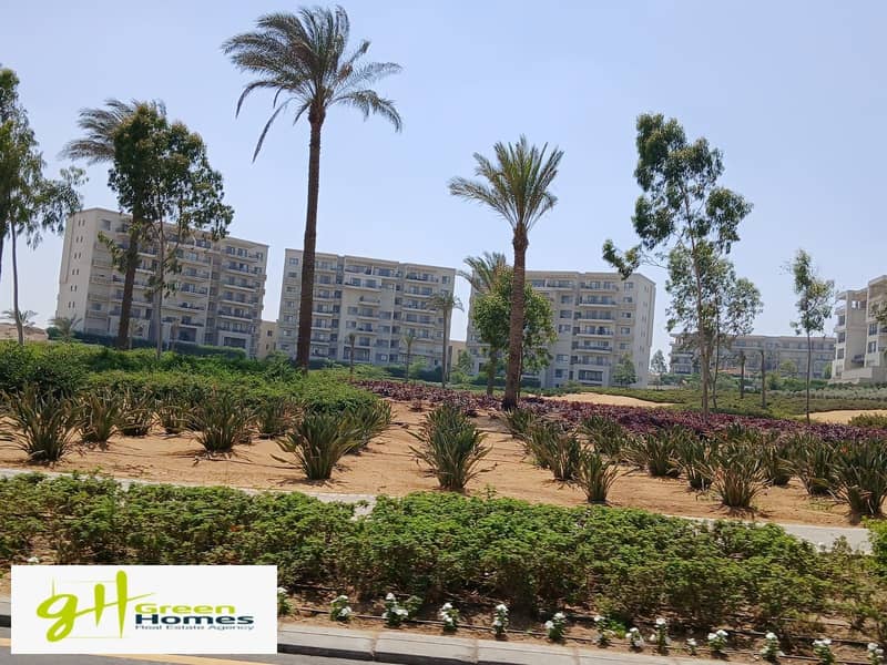 12 WhatsApp Image 2025-10-27 at 13.14. 44 (1). jpeg