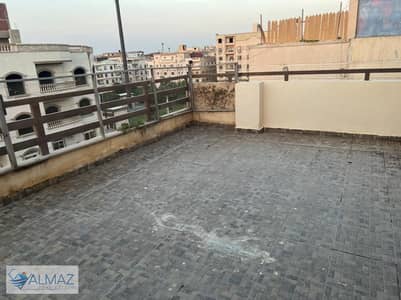 بنتهاوس 3 غرف نوم للايجار في القاهرة الجديدة، القاهرة - WhatsApp Image 2025-10-28 at 10.57. 51 AM. jpeg