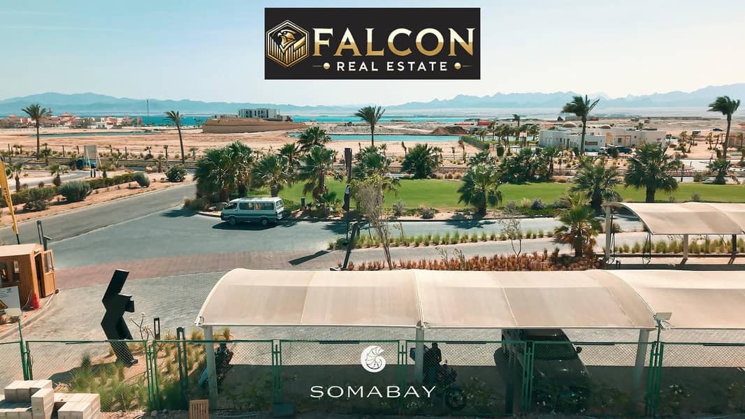 11 81940016-9bc3-430a-ba9a-eea5eac7f43d. jpg