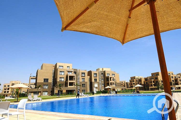 10 palm-parks-october-بالم-باركس-اكتوبر-4. jpeg