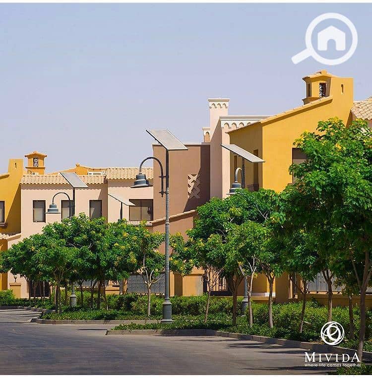 3 WhatsApp Image 2025-09-29 at 15.37. 35_12838bdd. jpg