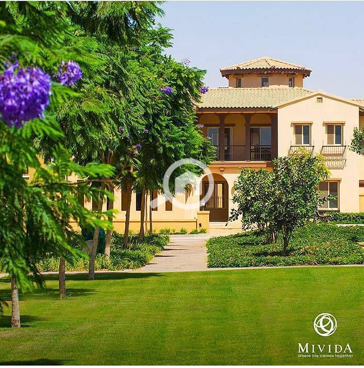 5 WhatsApp Image 2025-09-29 at 15.37. 36_cb59a03d. jpg