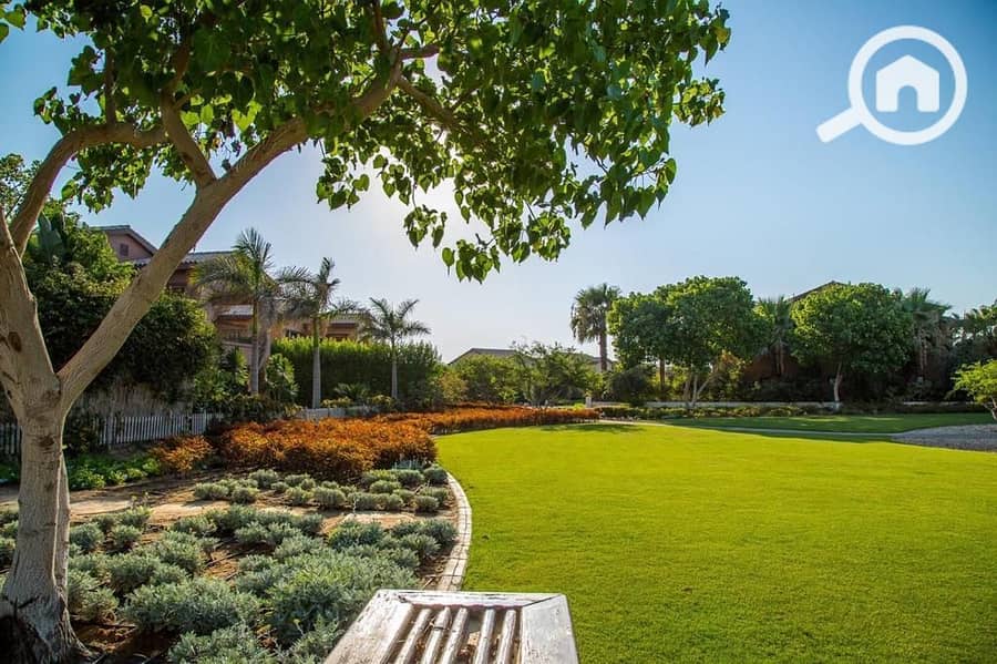 6 WhatsApp Image 2025-09-29 at 15.37. 37_dd9271f8. jpg