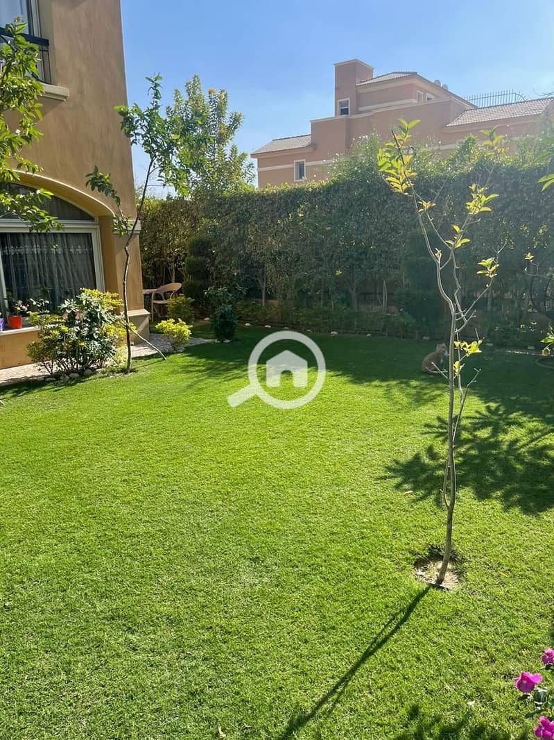 8 313b1531-2310-4f7f-82ec-e844ef290059. jpg