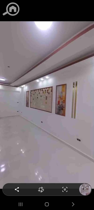 فلیٹ 2 غرفة نوم للبيع في النخيل، الإسكندرية - 1000450829. jpg