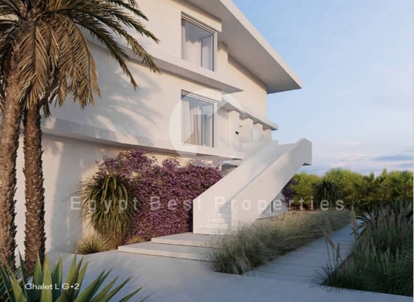 4 Screenshot_12-5-2024_123044_. jpeg