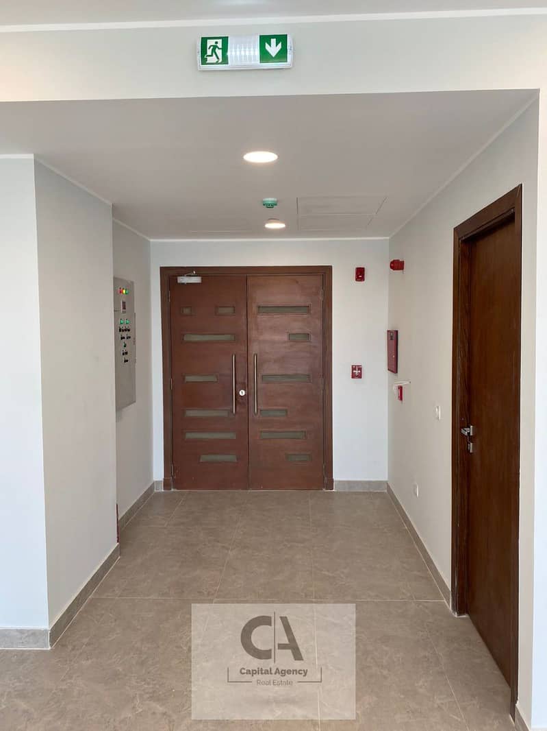 3 photo_4_2025-04-07_15-17-29. jpg