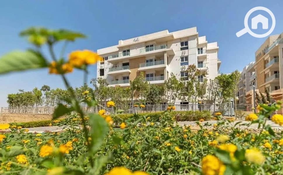 2 WhatsApp Image 2025-07-23 at 4.07. 18 AM. jpeg