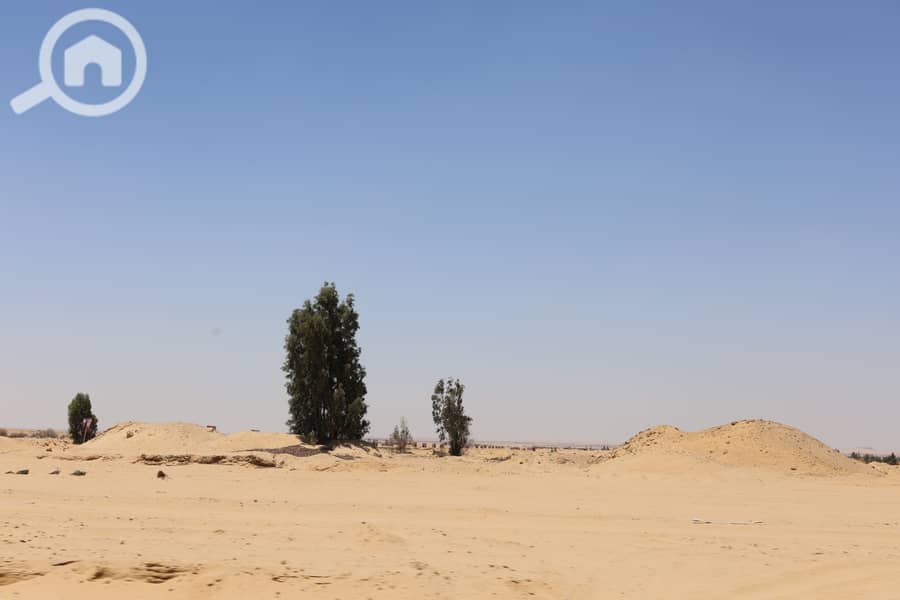 IMG_0229. JPG IMG_0229. JPG