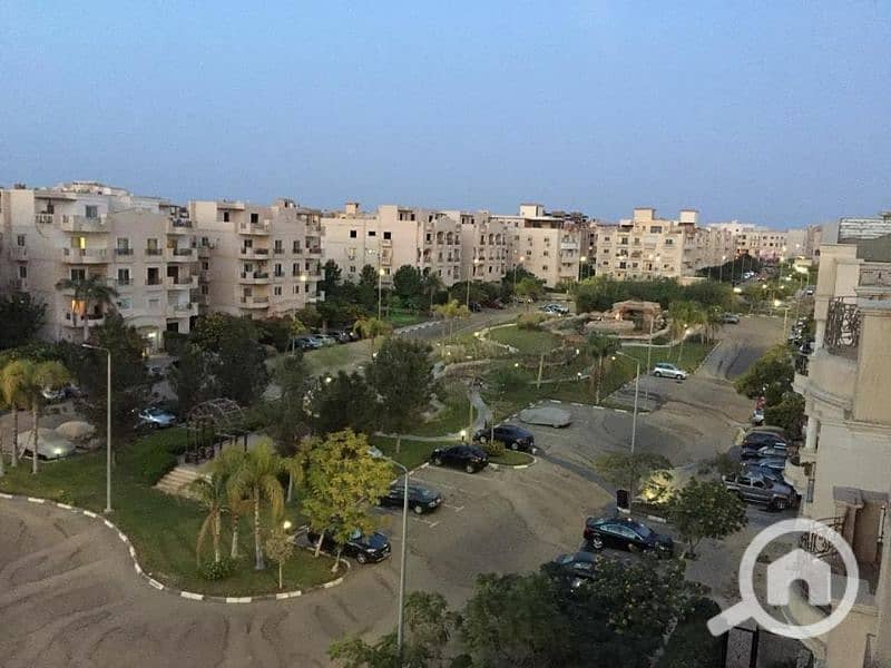 9 الشيخ زايد1. jpg